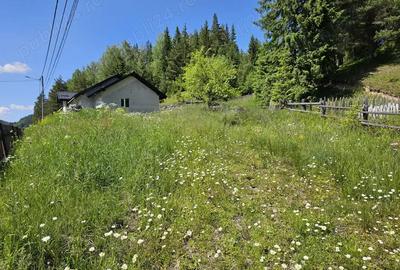 Casa de vanzare in Bucovina Zona Breaza de Sus Casa de vanzare in Bucovina Zona Breaza de Sus - 3