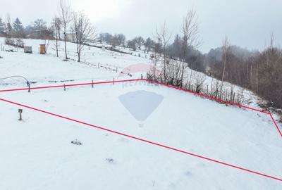 Teren 500 mp între Perdeluț și Tohanul Nou - 13