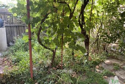 Casa de vanzare in Voluntari, cu posibilitate de extindere - 19