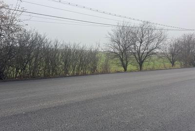 Teren Construcții intravilan de 7473 mp, în Freidorf - 3