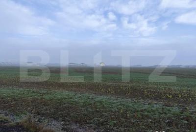 Teren de 15000 mp, în Miroslava - 2