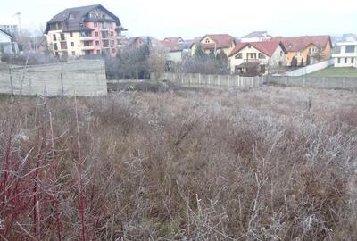 2 parcele de teren in Zavoi, str. Brandusei, 1440 mp, asfalt - 3