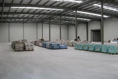 Spațiu industrial, de 1,000 mp, în Bradu - 8