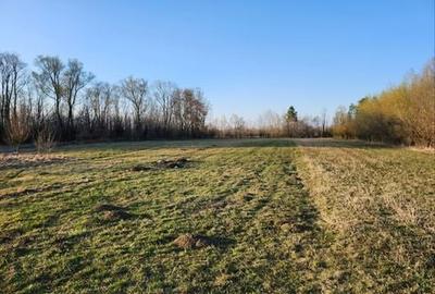 Teren de 7200 mp, în Hurjuieni - 2