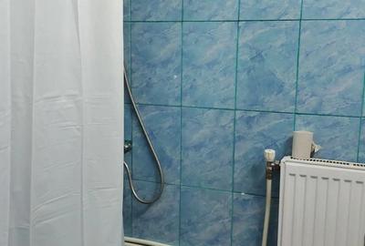 Camera de camin, 21mp utili, pentru inchiriere, Hunedoara - 4