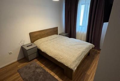 Apartament cu 2 camere semidecomandat în Ozana - 5