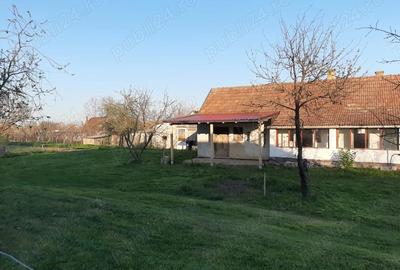 Casă cu 2 camere cu Teren 2000 Mp în Central - 8
