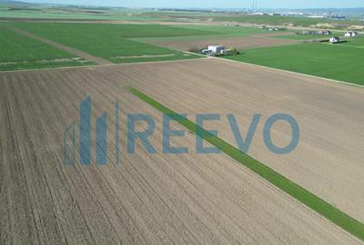 Teren de vanzare, Com. Nicolae Balcescu, Jud. Bacau - 21