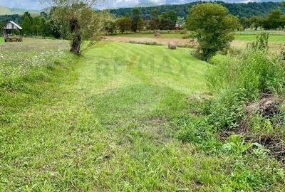Teren agricol intravilan de 1884 mp, în Berbești