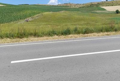 Teren de 5800 mp, în Gădălin