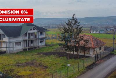 Vanzare casa individuala D+P+M + casuta de vara + teren 2000 mp, loc. Livada - 1