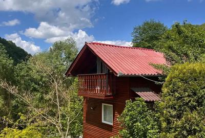 Casă cu 4 camere cu Teren 1500 Mp în Dobra - 10