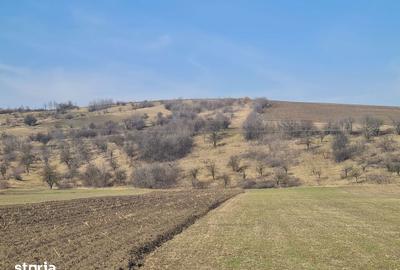 Teren de 4000 mp, în Măgirești - 1