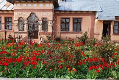 Casa Moldoveni Teleorman - 2