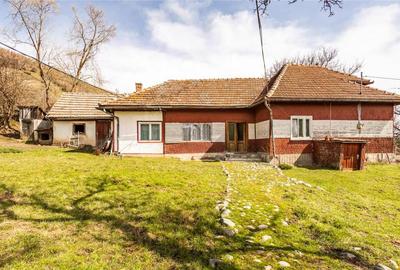 FILM! Pe domeniu de 6.500 mp teren, casa parinteasca, in mag - 2