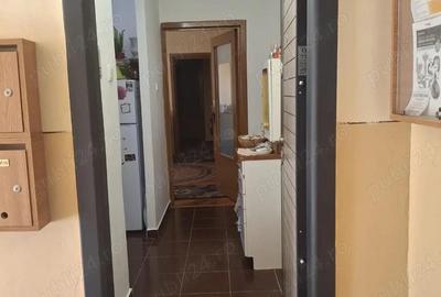 Apartament cu 2 camere semidecomandat în Șagului