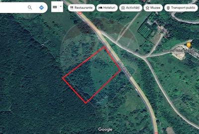 Teren agricol extravilan de 10000 mp, în Brădet - 2