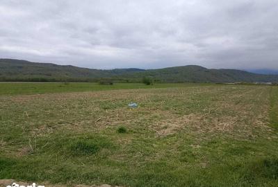 Teren de 7000 mp, în Central - 6