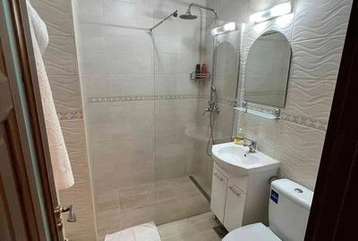 Apartament cu 2 camere semidecomandat în Săsar - 5