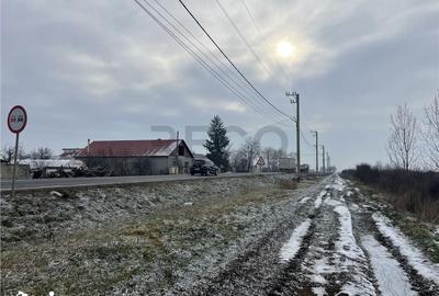 Teren de 26000 mp, în Cefa - 10