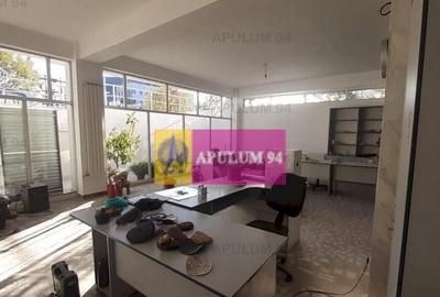 Centru de afaceri cu vad comercial - 8