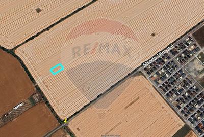 Teren Construcții intravilan de 725 mp, în Vest - 4