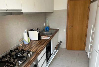 Apartament cu 2 camere semidecomandat în Dosu Bricii - 8
