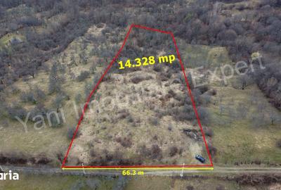 Teren de 14328 mp, în Nucșoara - 11