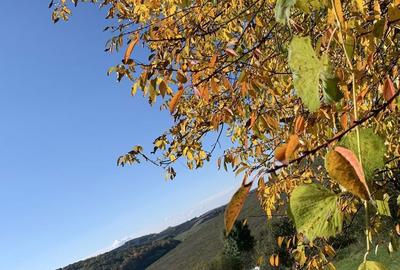 Casă cu 3 camere în Silivașu de Câmpie - 2