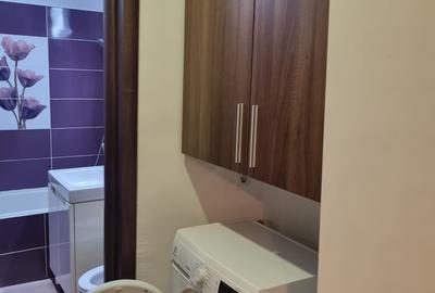 Apartament 2 camere - Vatra Luminoasa parc - 10