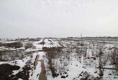 Dumbrava - 12.172mp - extravilan - 3