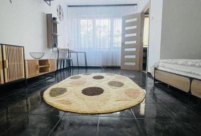 Garsonieră semidecomandată în Ozana - 3