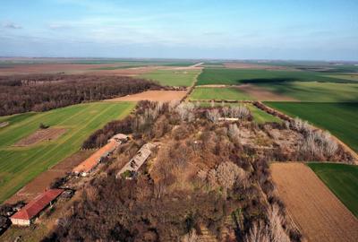 Ferma si livada de meri in judetul Ilfov - 21