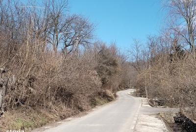 Teren de 5100 mp, în Răzvad - 3