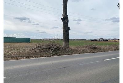 Teren intravilan 550 mp – la șosea principală, utilități la limita proprietatii - 10
