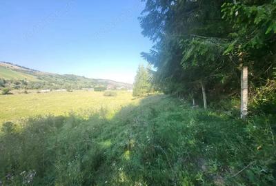 Teren de 5000 mp, în Gura Humorului - 2