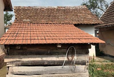 Casa de vanzare Tarnova jud arad - 7