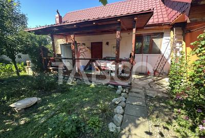 Casa de vanzare 3 camere 110 mpu teren liber 198 mp si garaj - 4