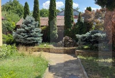 Oportunitate Investitie Spatiu Comercial, 420mp, zona Restaurant Tex - 2