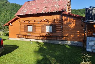 Cabana de lemn cu teren 760 mp de vanzare in Coada Lacului - Bihor - 3