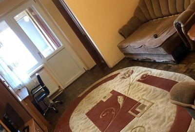 Garsonieră semidecomandată în Brazda lui Novac - 2