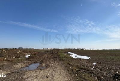Teren de 13300 mp, în Tunari - 2