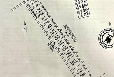 Clinceni- Colectorul de Apa - 5