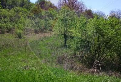 Teren de 800 mp, în Mediaș - 1