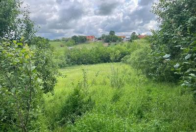 Casă cu Teren 1699 Mp în Honorici - 12