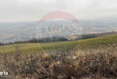 Teren de 623 mp, în Baciu - 4