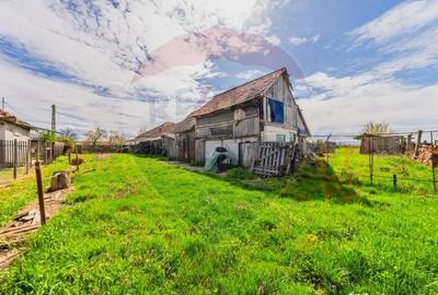 Casă cu 2 camere cu Teren 4500 Mp în Cărand - 8