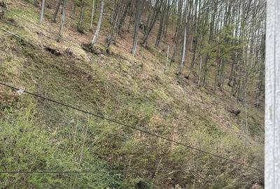 Apartament cu 2 camere în Central - 4