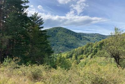 Teren de 4420 mp, în Vinețisu - 7