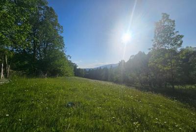 TEREN DE VANZARE APROAPE DE PADURE TEREN DE VANZARE APROAPE DE PADURE - 11